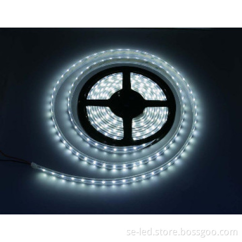 Wam White 24V LED Strip Lighting CE ROHS Non-Waterproof